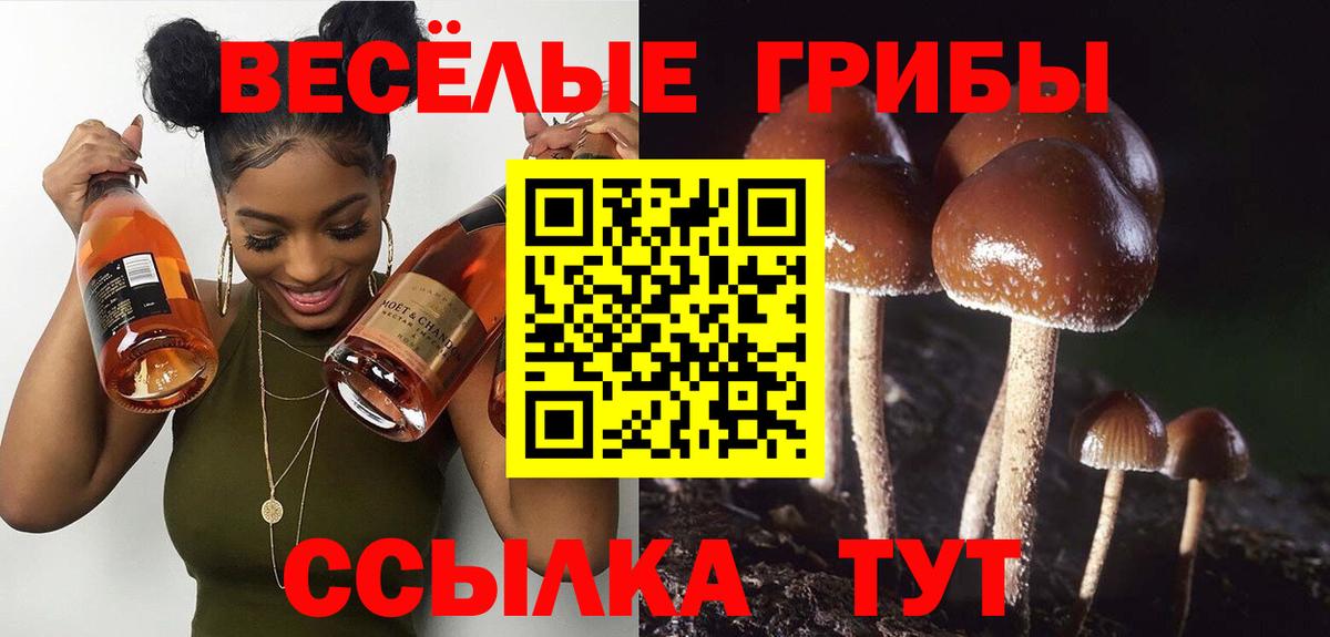 как найти закладки  Вход с VPN  Вышний Волочёк  Галлюциногенные грибы ЛСД  Псилоцибиновые грибы Cubensis 