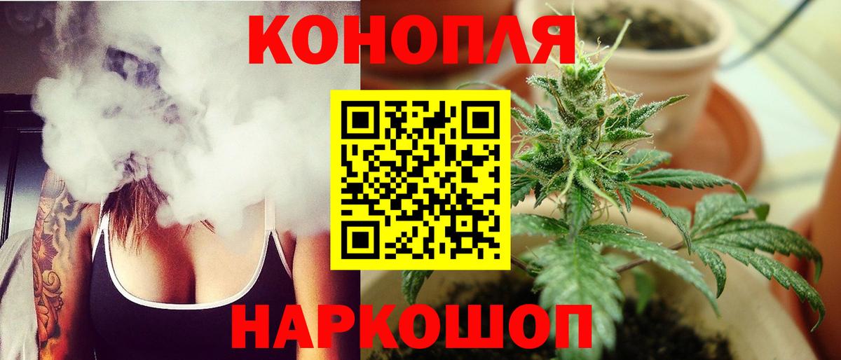 Шишки марихуана AK-47 Вышний Волочёк